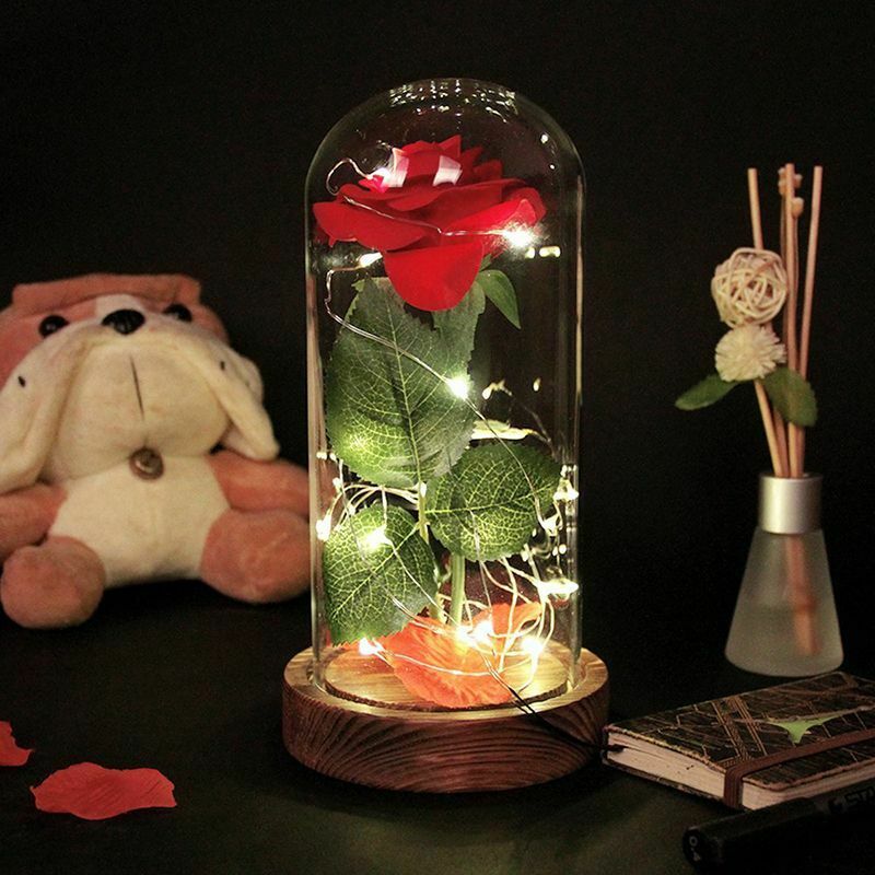 Eternal Rose Flower Red Silk Rose and LED Light with Fallen Petals in Glass K7T8
