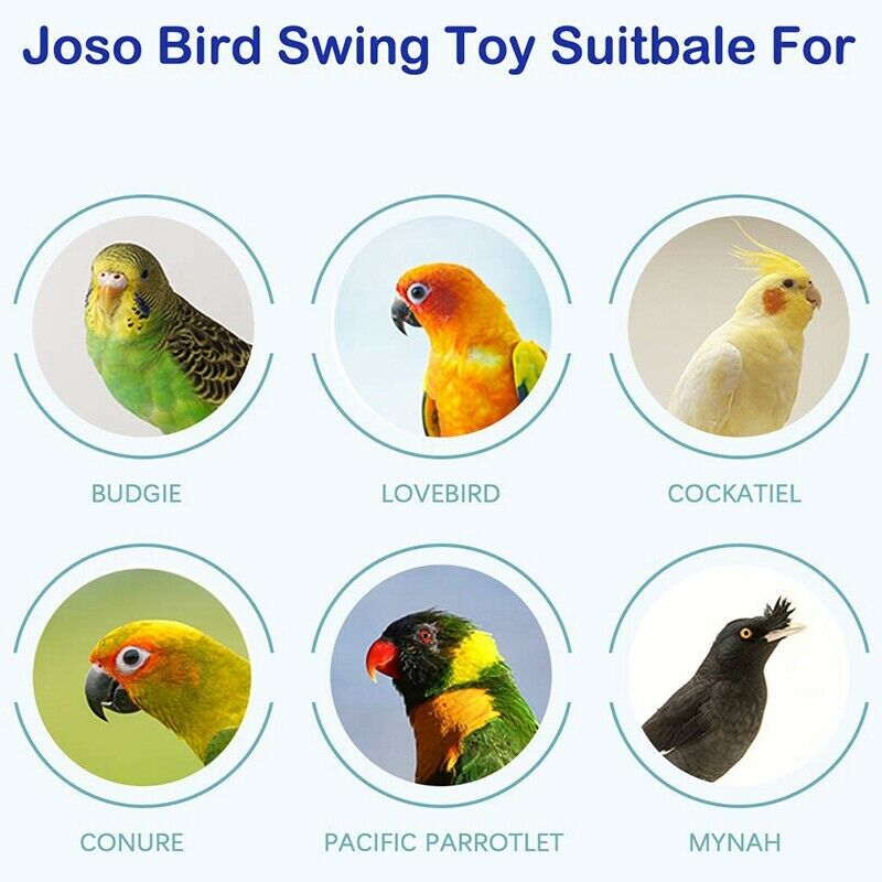 Parrot Bird Toys Pet Bird Cage Hanging Bell, Colorful Chowing Hanging Swing