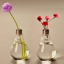 Transparent Glass Bulb Shape Table Vase for Plants Flowers Home Garden Wedd O8P2