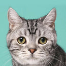 4 Boxes Pet Eye Wipes Dogs Cats Tear Wiping Pads Eye Crust Treatment Cleaner