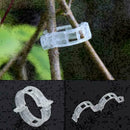 Garden Vegetables Tomato Vine Stalks Grow Upright Support Plant Clips Gift V3V5