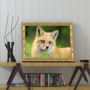 Full Drill Animal Diamond Painting Mosaic Rhinestone Handwork (LD479 Dog)