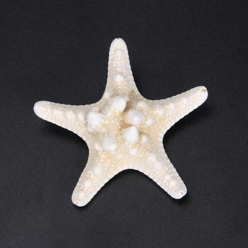 Natural Sea Star Girl Hair Stick Pins Lady Hair Clip Clamp Head Accessories
