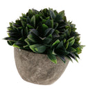 Plastic Artificial Potted Plants Green Grass -13cm / 5.12''(Height)-Purple