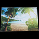 5x3FT Seaside Beach Palm Vinyl Studio Photography Backdrop Photo