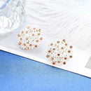 Korean Flower Crystal Stud Earrings Women Charming Ear Jewelry Accessories A