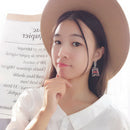 Fashion design acrylic fish pocket drop earrings Korean edition whimsy Exag