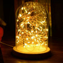Glass Dome Bell Jar Cloche Wooden Base with 20LED Fairy Stand Light String X0G5