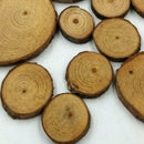 100x Slices Round Disc Tree Natural Pine Wood Chips Wood Bark Circle Decor Craft