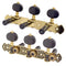 2x Guitar Tuning Pegs Keys with Nylon Guitar String Set for Classical Guitar