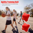 2pcs Gym Hexagonal Reaction Ball Basketball Agility Training Balls (Red) A