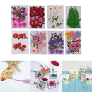 8Pack Mixed Pressed Dried Flowers Leaves for Scrapbooking Wedding Decoration