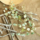 Natural Dried Flowers Artificial Flower Dried Eucalyptus Leaf Home decoratio Hn