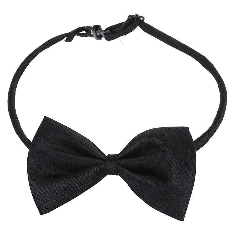 Pet Cat Dog Bow Tie - black F6D9