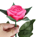 Rose Romantic Outdoor Yard Garden Path Way Tulip Bar Landscape Flower Night R2U5