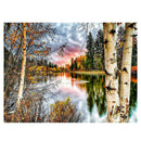 Forest Landscape 5D Diamond DIY Painting Kit Home Decor Craft 40 X 30cm