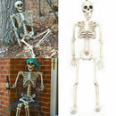 Poseable Human Skeleton Prop Halloween Home Party Decor