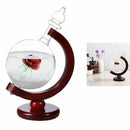 Beautiful Weather Forecast Crystal Storm Glass Wooden Base Globe Shape Desk