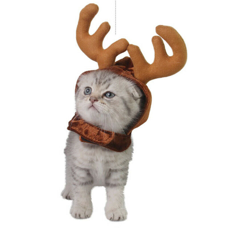 Christmas Pet Cute Reindeer Costume Hat for Cat and Small Dog F1H2