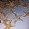 100pcs Mini Starfish Craft Decoration Natural Sea Stars DIY Beach Cottage W