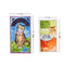 Cat Tarot Cards Game Party Playing Tarot Cards Whimsical and Humorous TarotB&SE