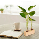 Crystal Glass Test Tube Vase Flowers Plants hydroponic Planter+ Wooden Stan W6P9