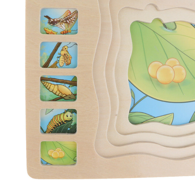 Kids Puzzle Game, Butterfly Growing Story Family Game Activity, 4 Layer