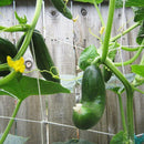 1Pcs Grow Frame Flower Vine Garden Weaving Plant Climbing Net Vegetable Pol