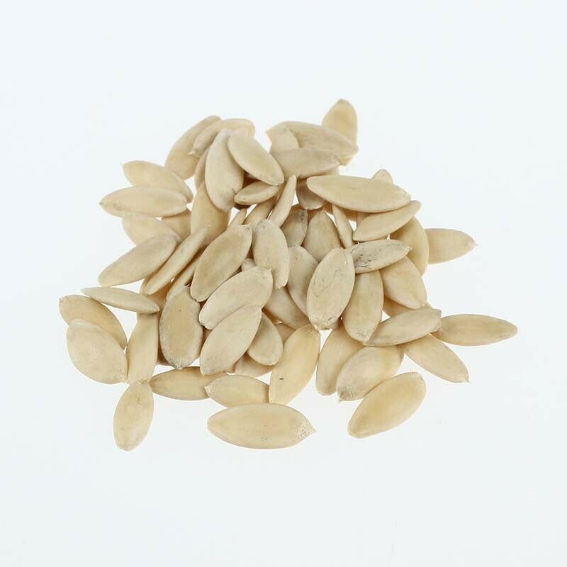 Cucumber - White Angel Organic Vegetable Seed
