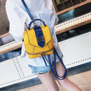 Korean Version Of the Color Shoulder Bag Female Shoulder Multi-Purpose Bag