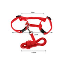 Pet Rabbit Traction Control Rope ,Outdoor Training Walking Lead ,Pet