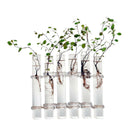 6 Glass Tubes Shape Hanging Hydroponic Flower Plant Vase Terrarium Containe K8R7