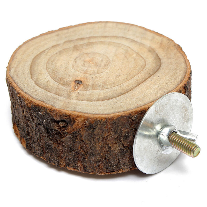 Parrot Pet Bird Round Platform Toys Wooden Hanging Stand Perch Cockatiel Fun