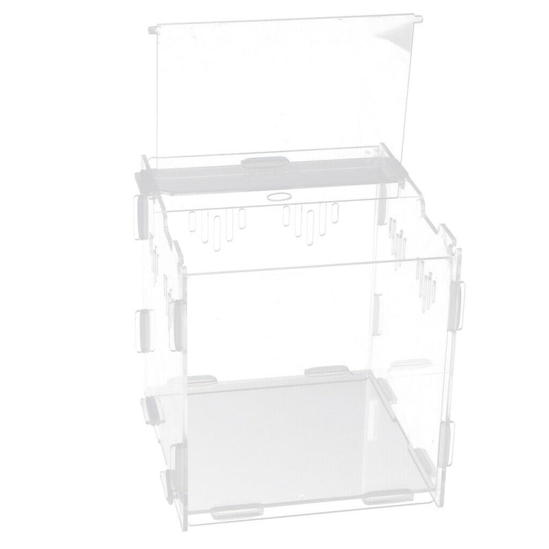 Clear Acrylic Pet Reptile Lizard Transport Breeding Feeding Case 17x17x17cm