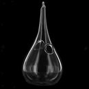 Water Drop Hanging Glass Flowers Planter Vase Terrarium Container Home Decor