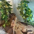 2x Reptile Vivarium Decoration Aquarium Ornament Artificial Ivy Vines 30cm/50cm