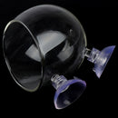 Fish Tank Mini Crystal Glass Pot Water Potted Aquatic Planting Cylinder Cup g Tw
