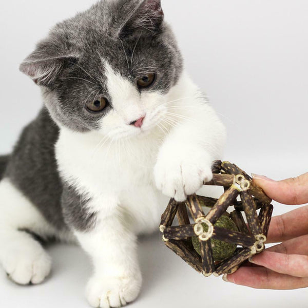 Catnip Toys Ball Matatabi Sticks Organic Natural Pet Cat Supplies Practical