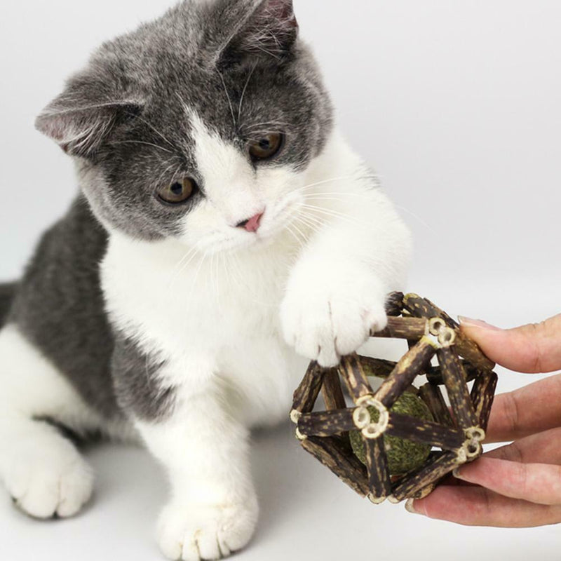 Catnip Toys Ball Matatabi Sticks Organic Natural Pet Cat Supplies Practical