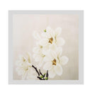 Modern Oil Painting Art Painting White Flower on Canvas Wall Art 30x30cm