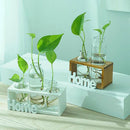 Tabletop Glass Terrarium for Hydroponics Plants Home Office Decor-2