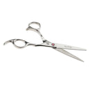 Pro Hair Cutting Thinning Scissors Barber Shears Hairdressing Salon Comb Set