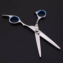 Professional Pet Dog Stainless Steel Grooming Hair Scissor Straight Scissor