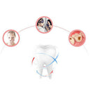 2-In-1 Electric Toothbrush, 2-In-1 Interchangeable Brush Head Cleansing Ins