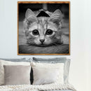 5D DIY Full Drill Diamond Painting Cross Stitch Embroidery Home Art (Cat07)