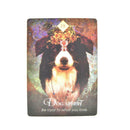 "The Spirit Animal Oracle" By Colette Baron-Reid (68 Oracle Cards & Guidebook)