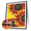 Flower 5D DIY Full Round Drill Diamond Painting Cross Stitch Crafts (B2363)