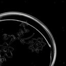 2Pack Aquarium Fish Tank Shrimp Feeding Food Dish Bowl Feeder Container with