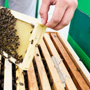 Small Hive Oil Traps Clear Plastic Baitable Reusable Hive Beekeeping Tools