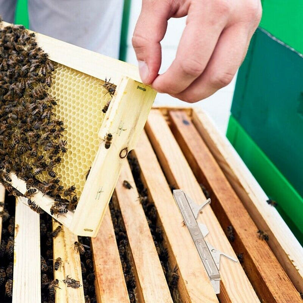 Small Hive Oil Traps Clear Plastic Baitable Reusable Hive Beekeeping Tools